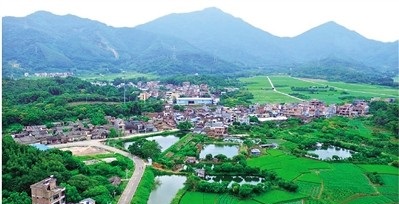 大力改善农村人居环境 建设生态宜居美丽乡村 广州市增城区人民政府