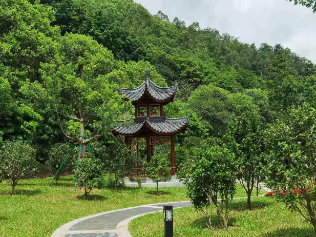 （7.26）增城区以“绣花”功夫打造增城区山茶属植物主题公园1.png