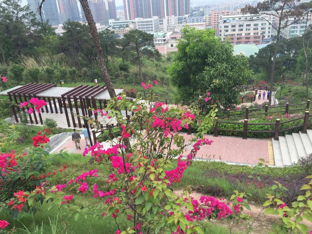 微信图片_20220408151224.jpg