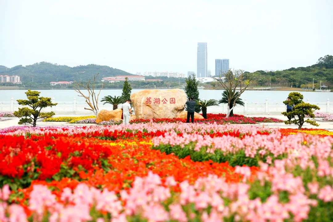 荔湖公园.jpg
