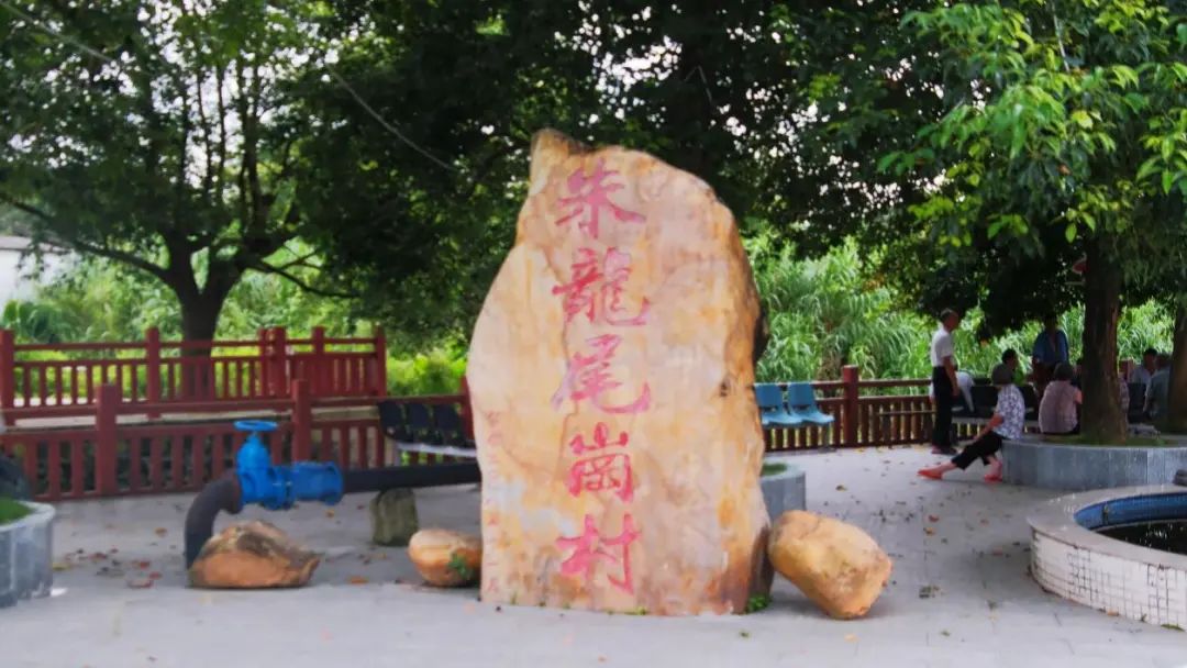 746216.jpg