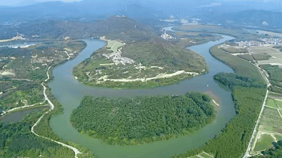 图片6.gif