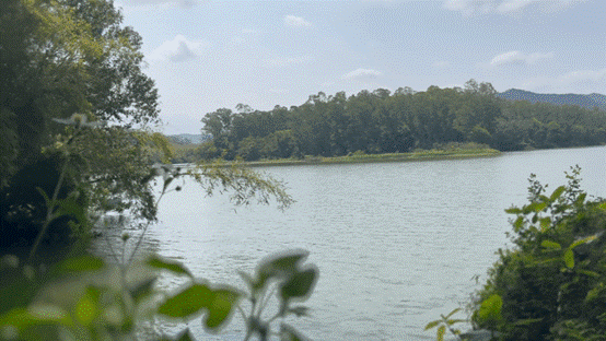 图片8.gif
