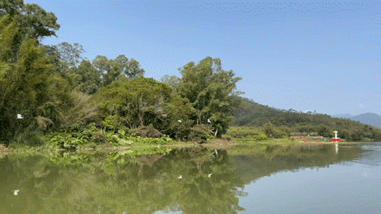 图片9.gif