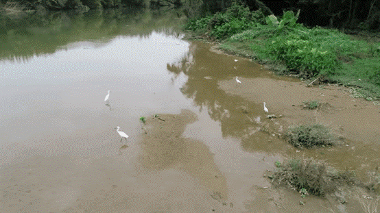 图片11.gif