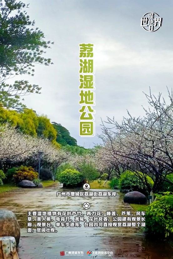 图片11.jpg