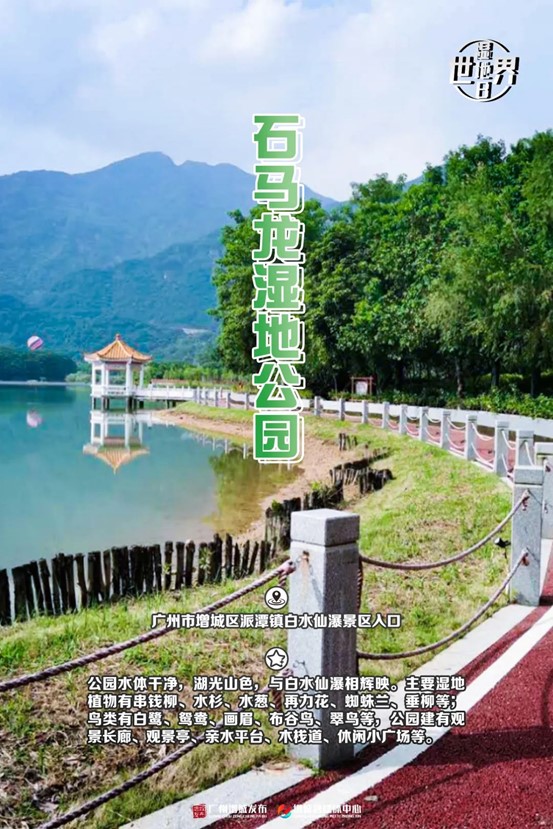 图片33.jpg