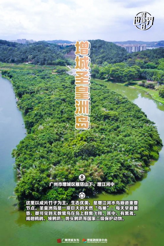图片36.jpg