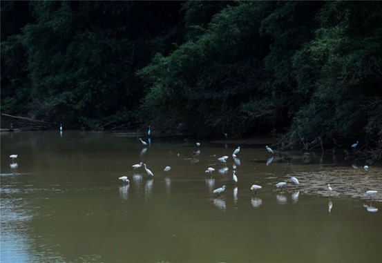 图片41.jpg