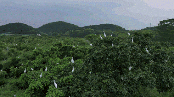 图片44.gif