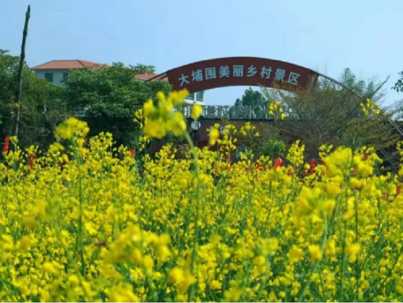 微信图片_20230217092123.png