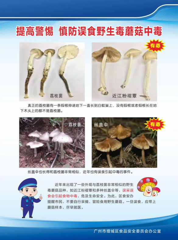 附件3.png