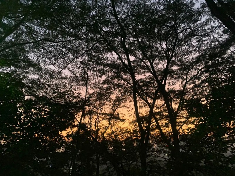 640.jpg
