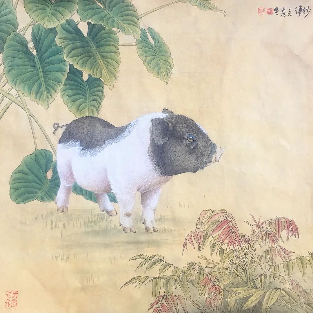 图片