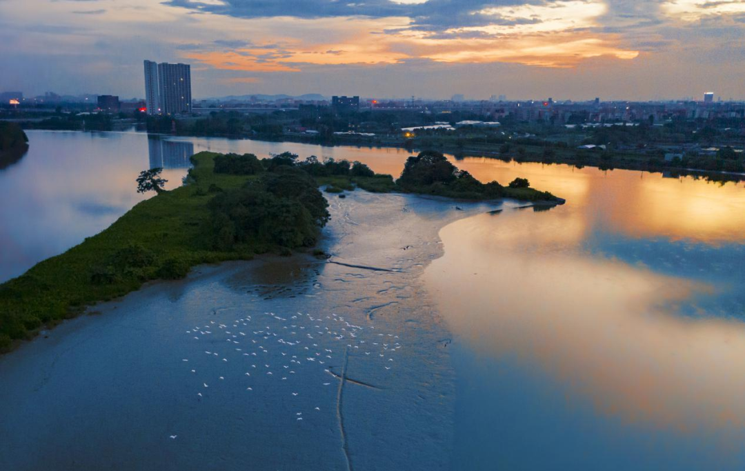 1.流溪河江景.png