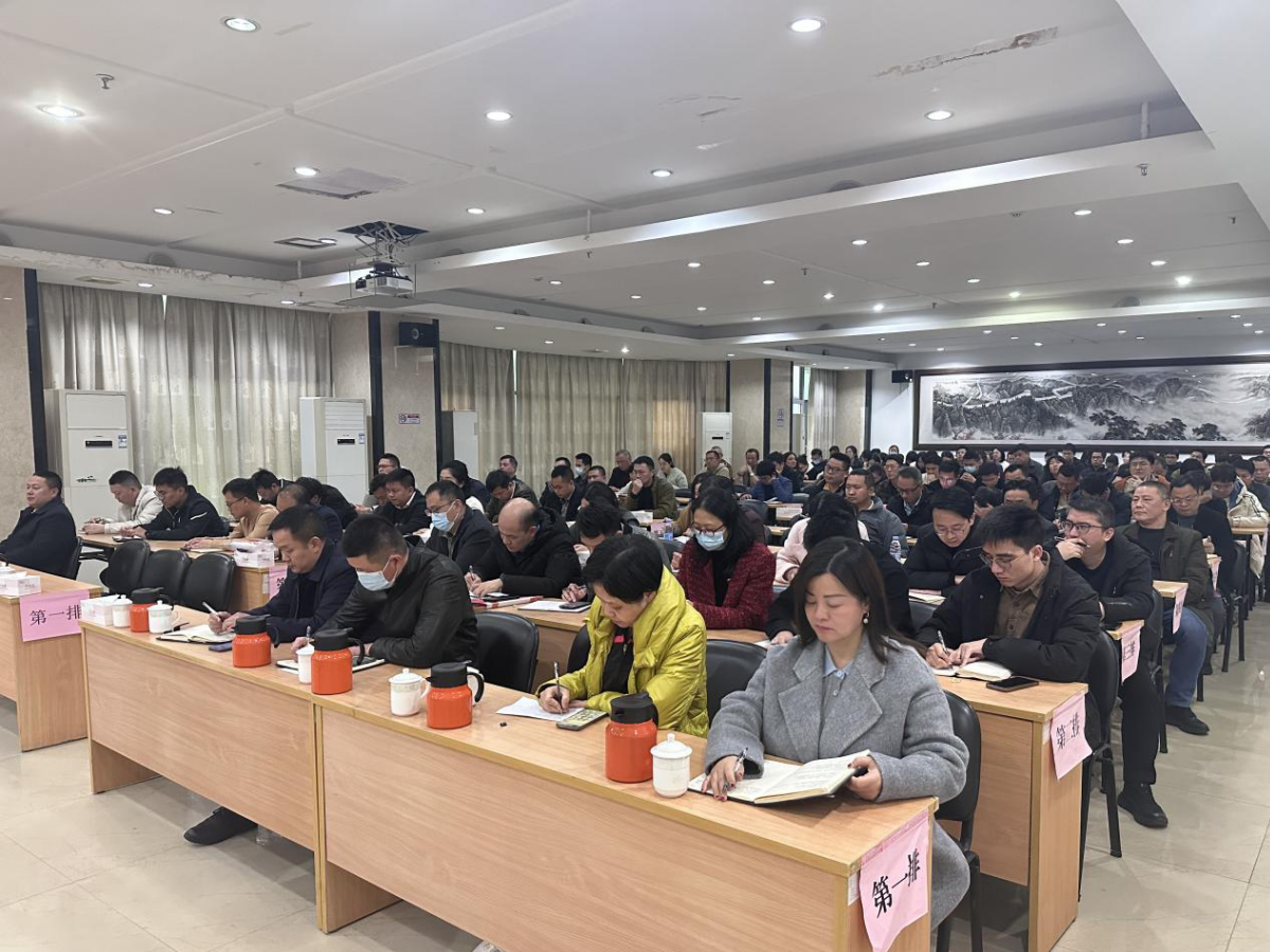 高质量发展大会2.png