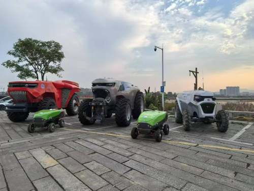 已编辑图片
